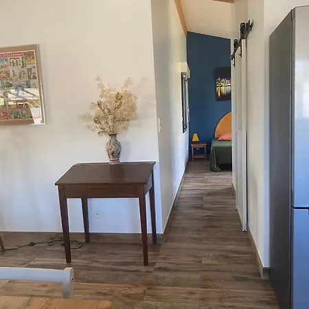 Maison Avec Patio Dans Un Ecrin De Verdure Proche De La Montagne Noire *